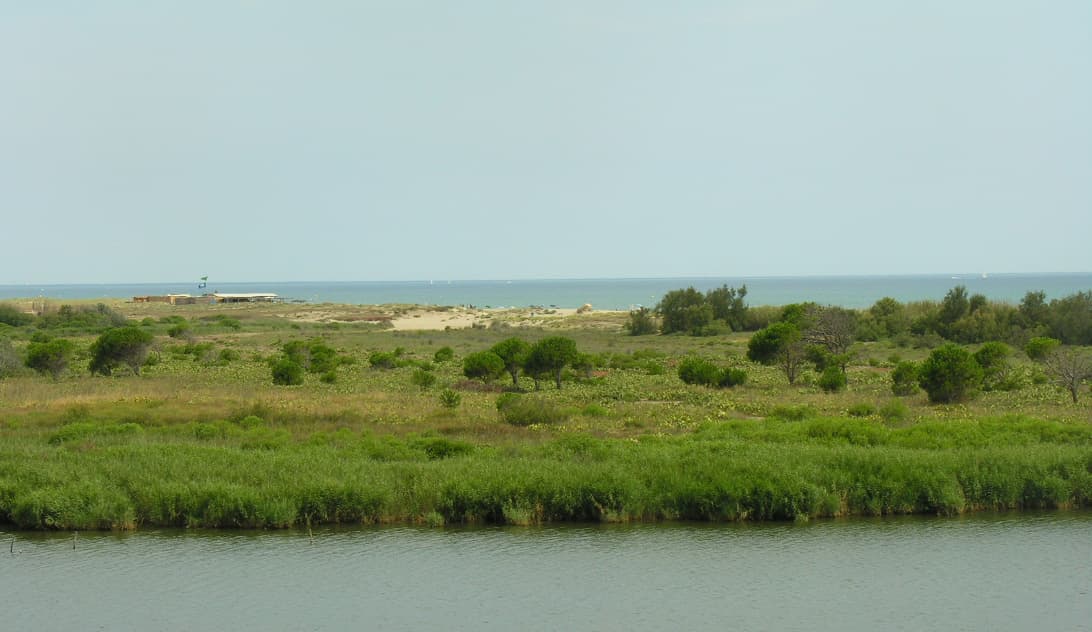 TORREILLES LOI PLAGE SUD