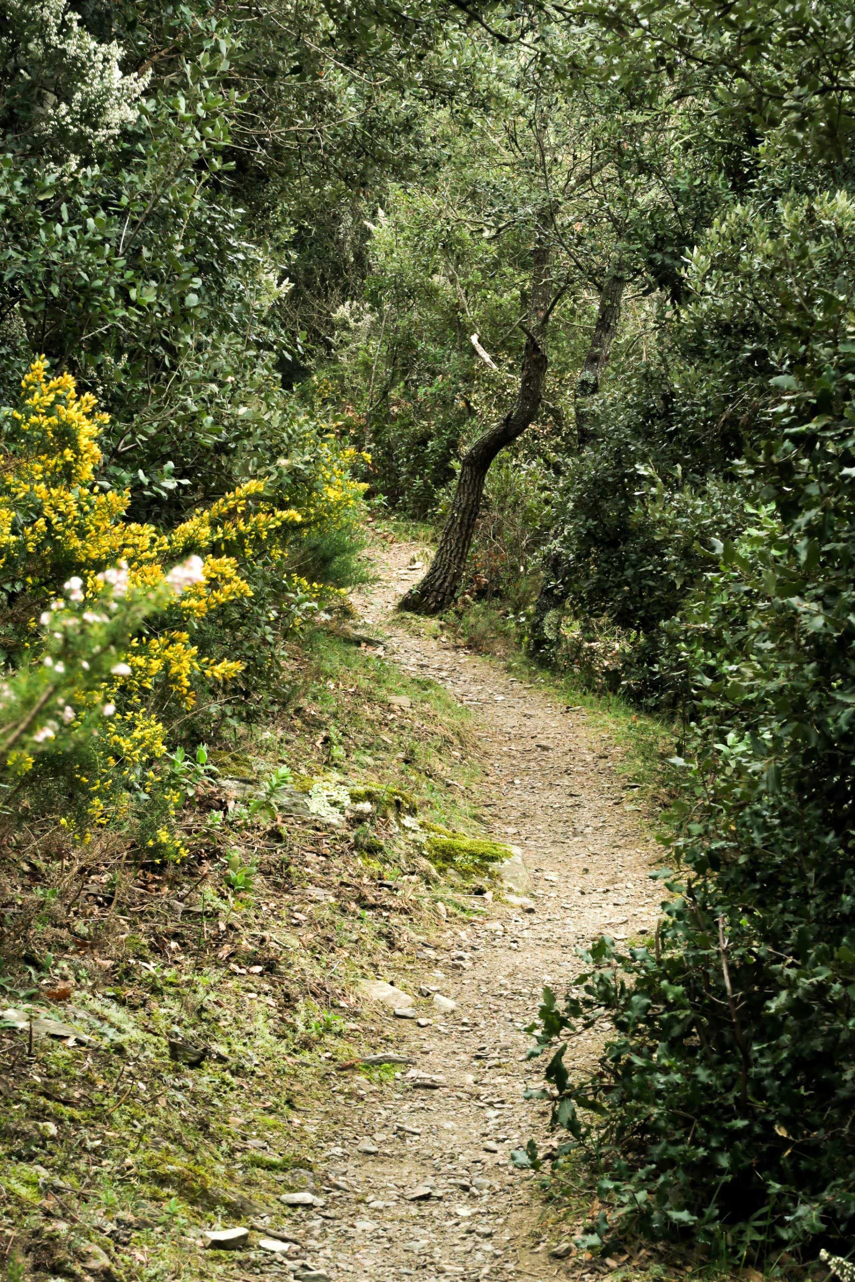 puig-marbet-printemps