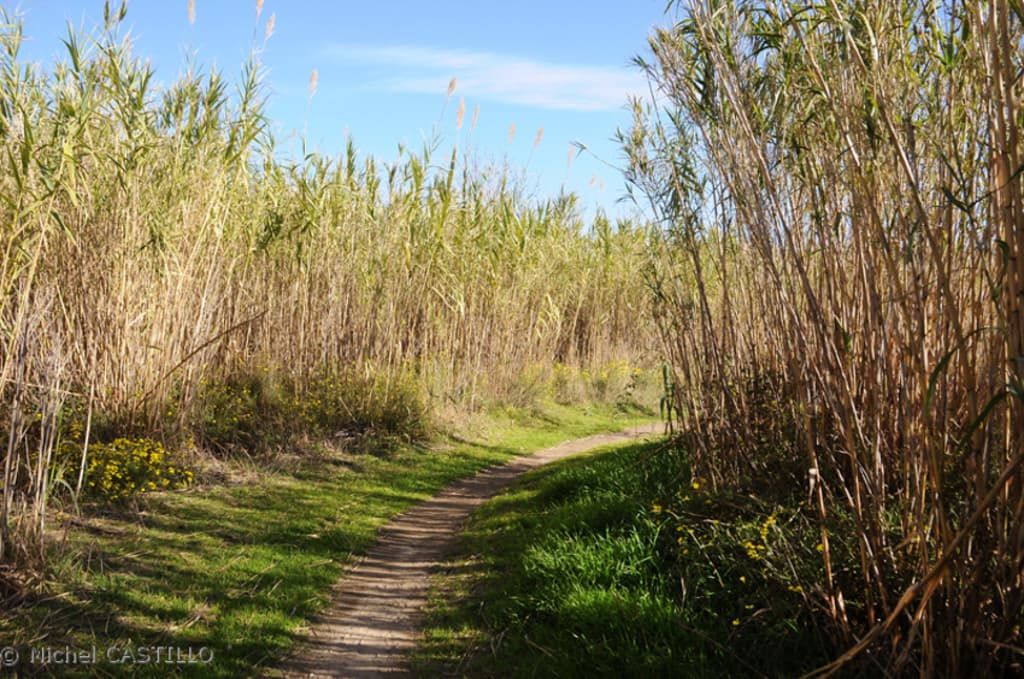 reserve_mas_larrieu_12