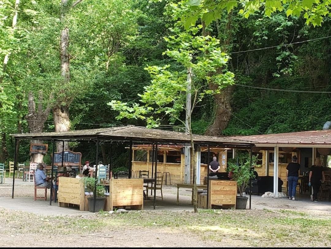 fontainedesbuis
