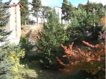 torremagne16