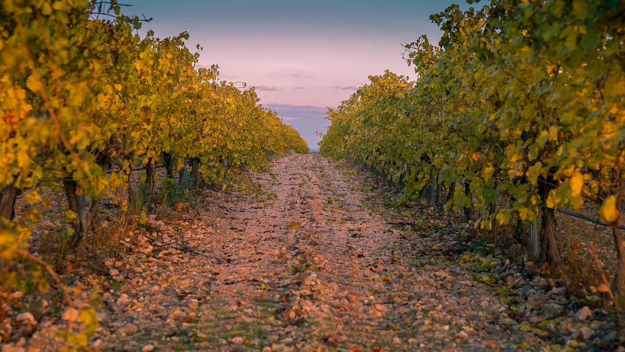 domaine nairaud
