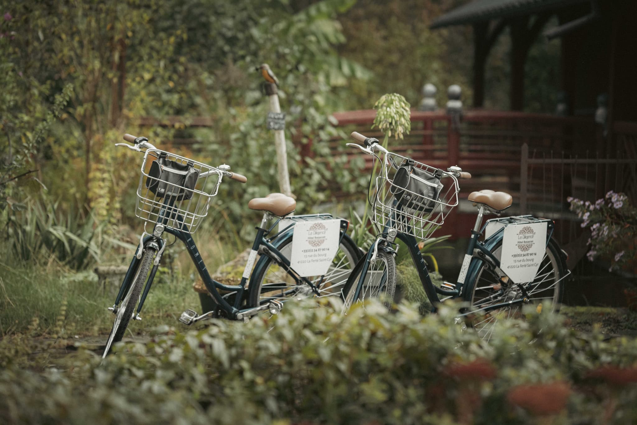 Location Vélo
