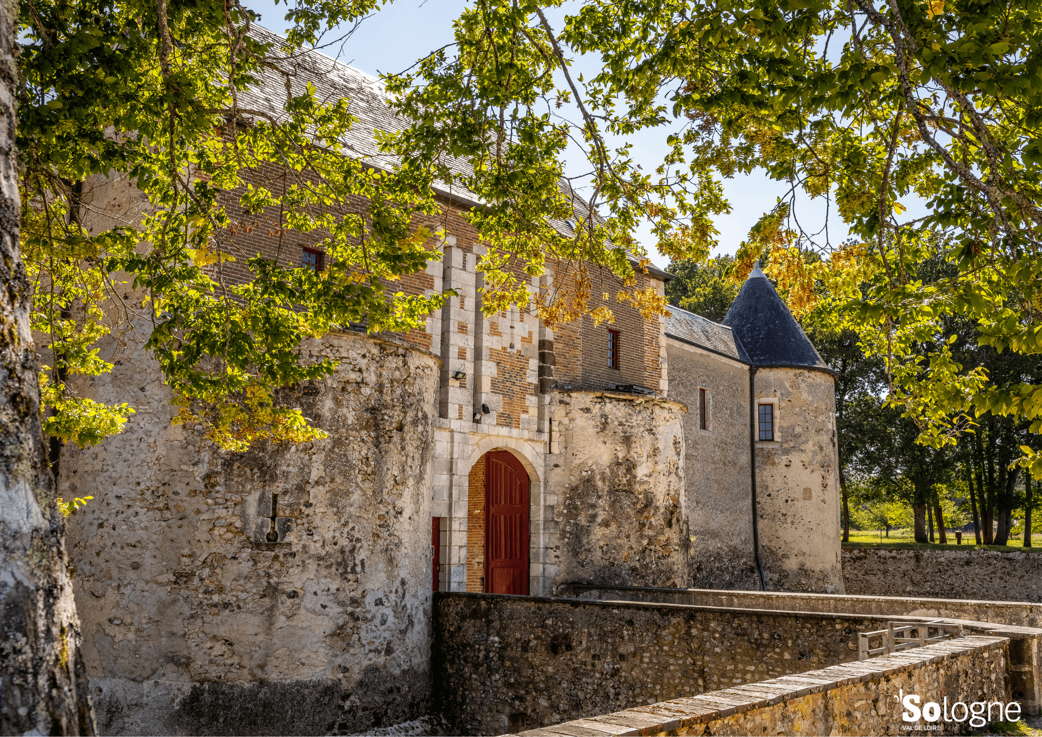 ©D.Darrault-Marque-Sologne (2)