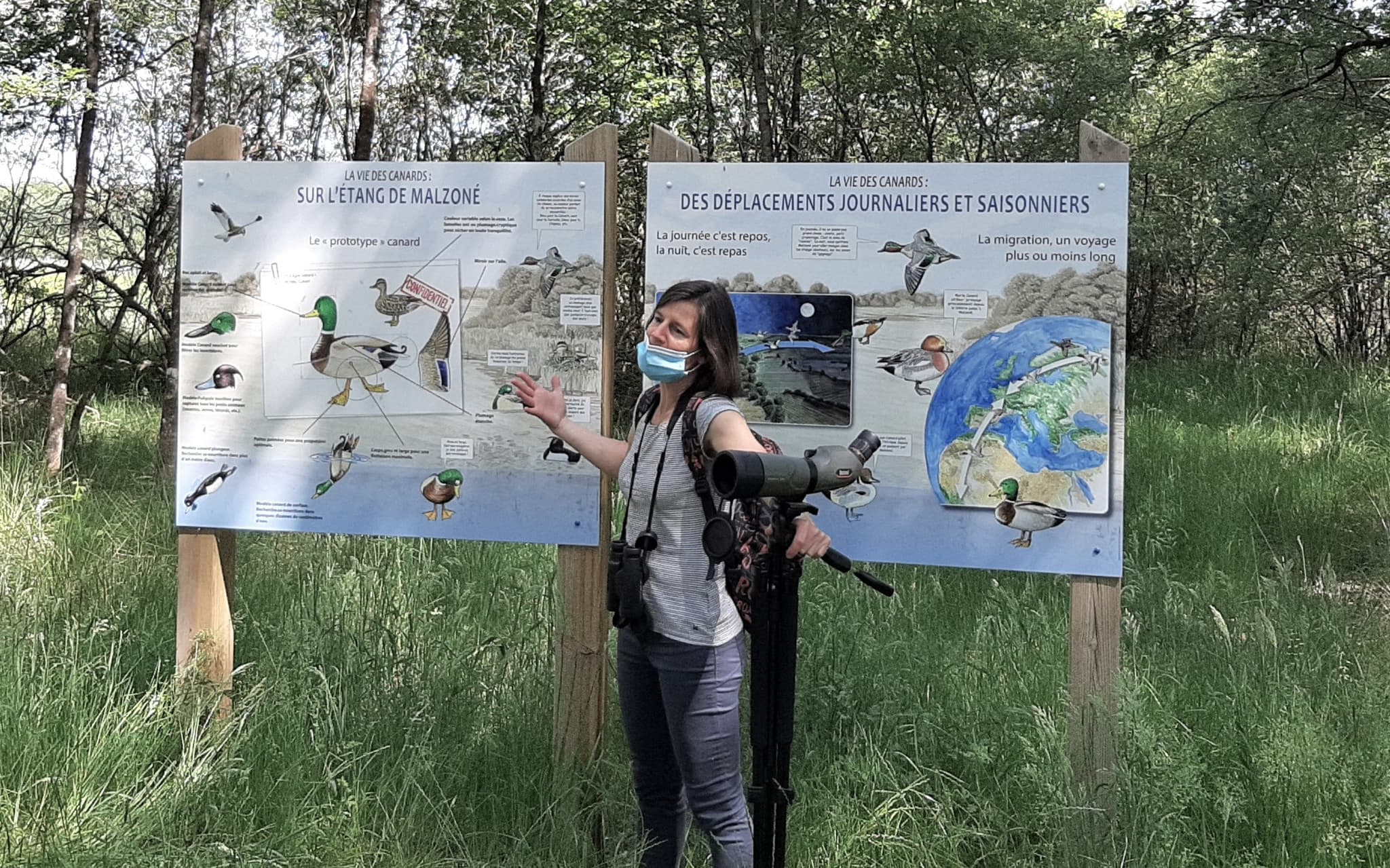 A Malzoné
