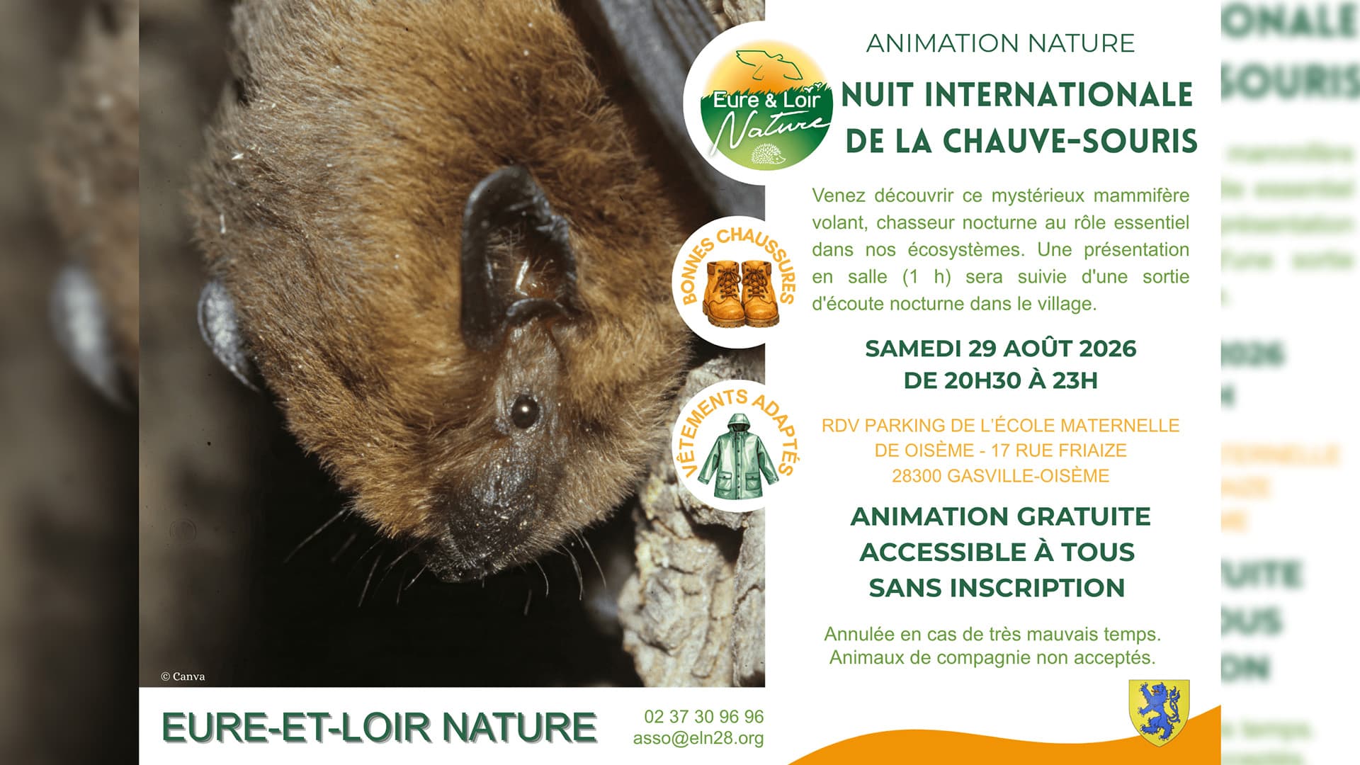 29-08-2026 Nuit de la Chauve-souris - 1