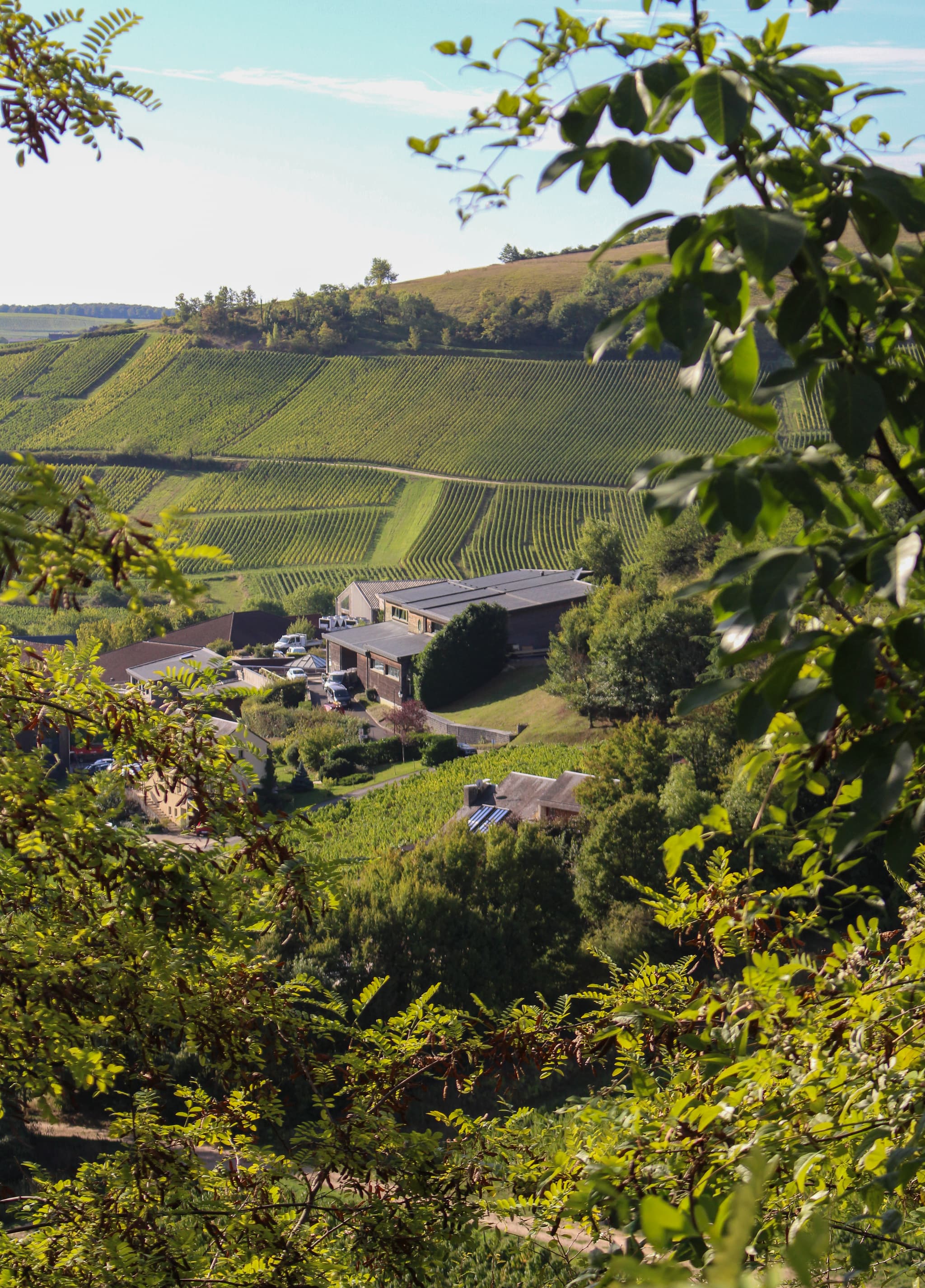10 Oenotourisme © Domaine Henri Bourgeois