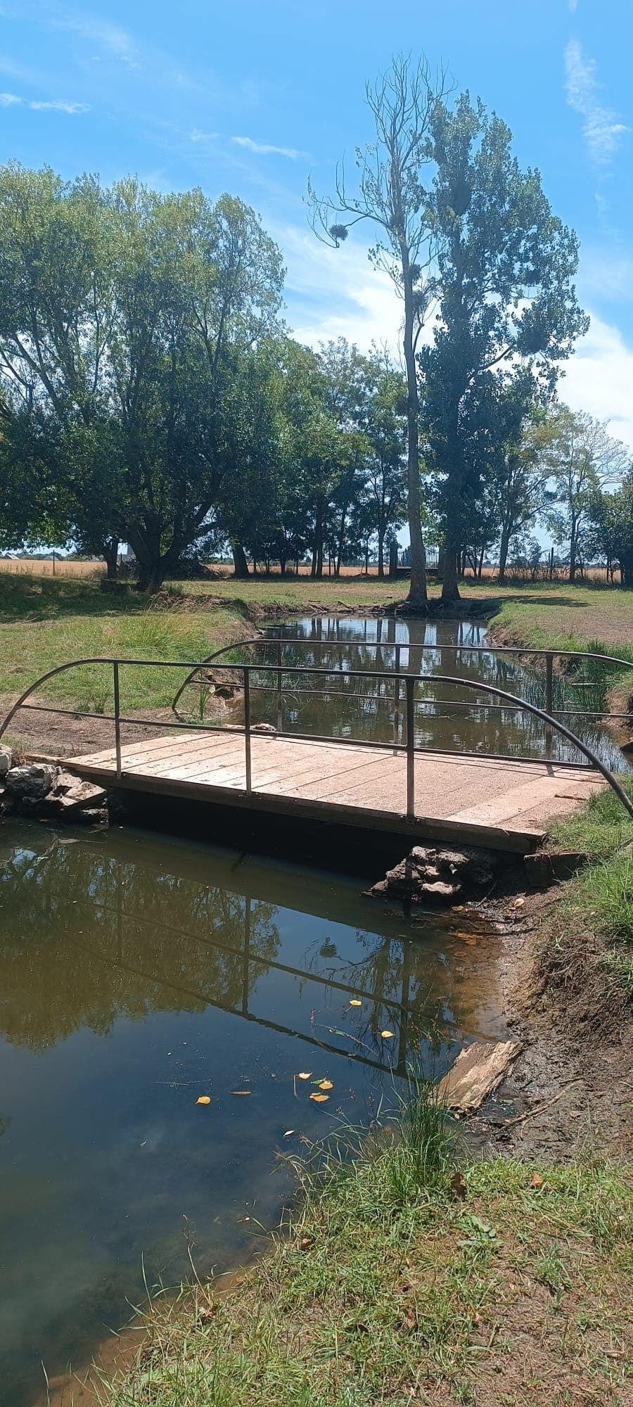VUE SUR LE PONT