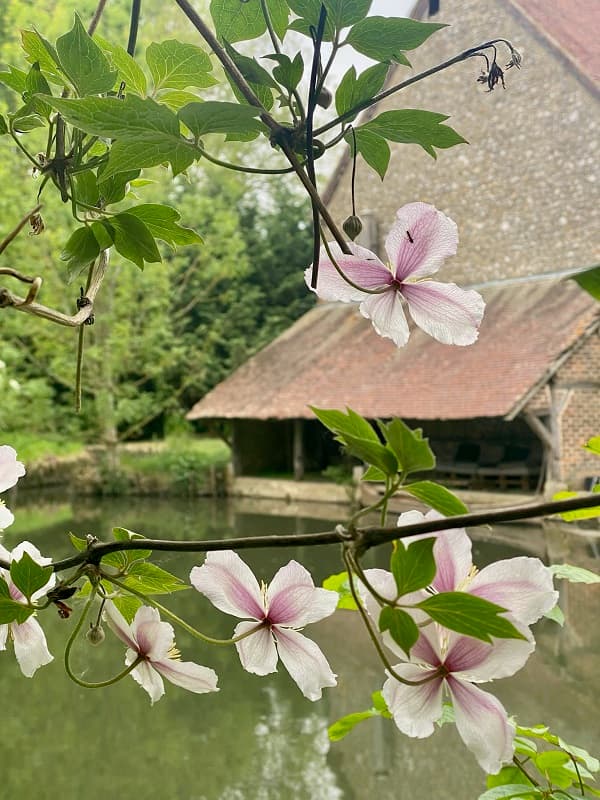 15. Lavoir ©Bréant_MoulinMasson