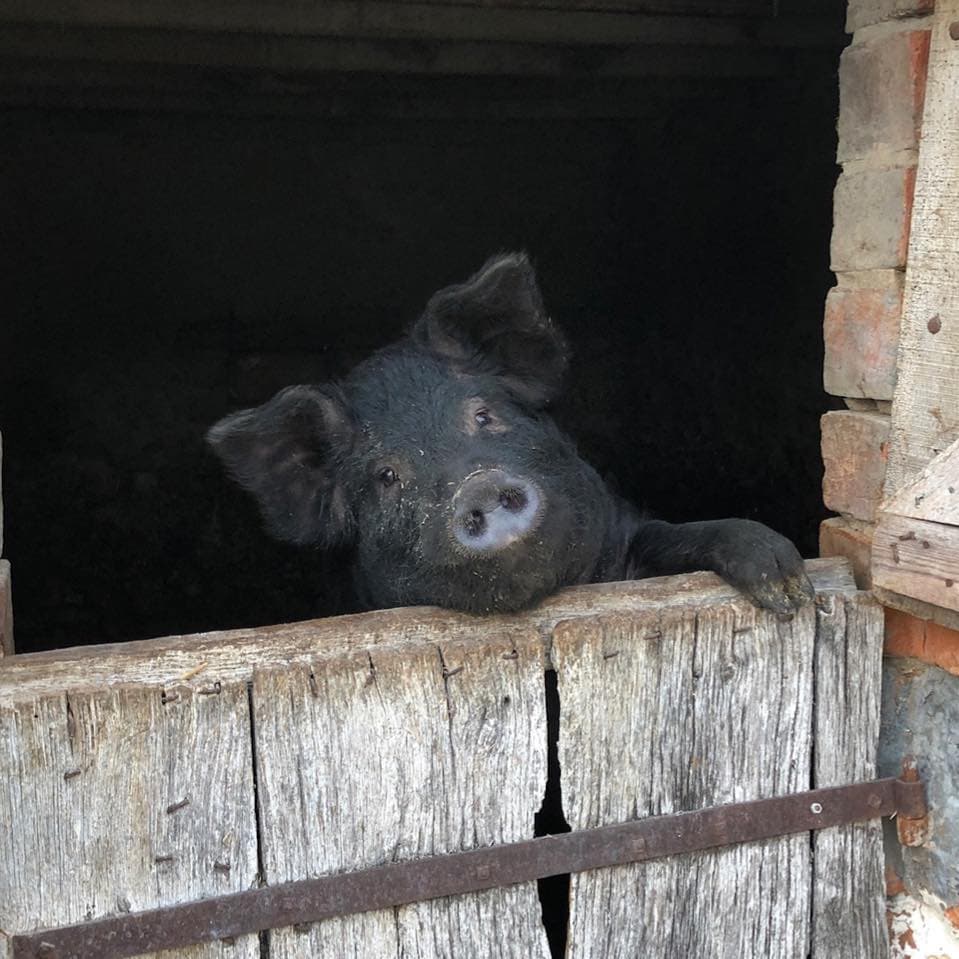 Ferme de la brosse