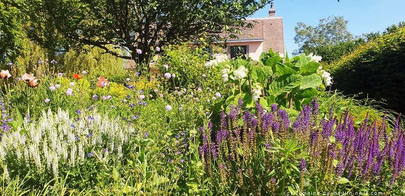 Le parc et jardin des fleurs