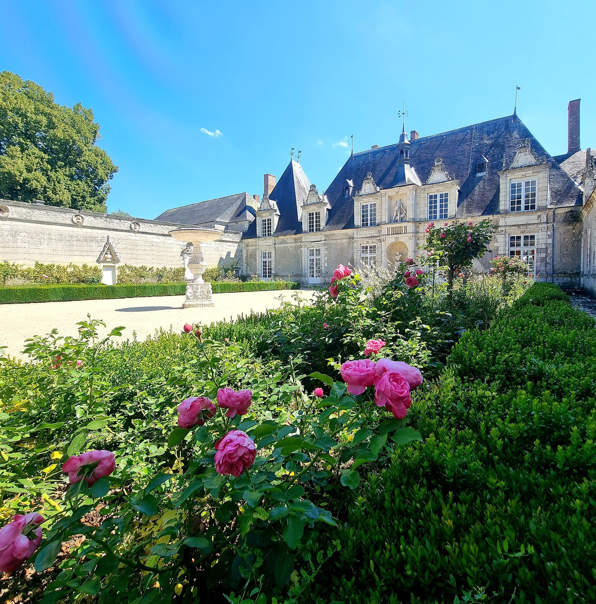 Villesavin-fleuri