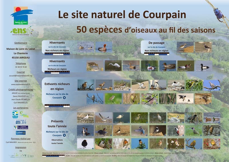 2022 panneau oiseaux®MaisonDeLoire