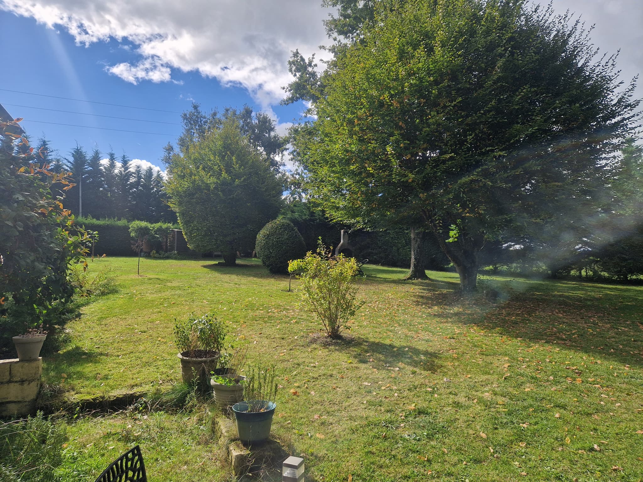 Le jardin