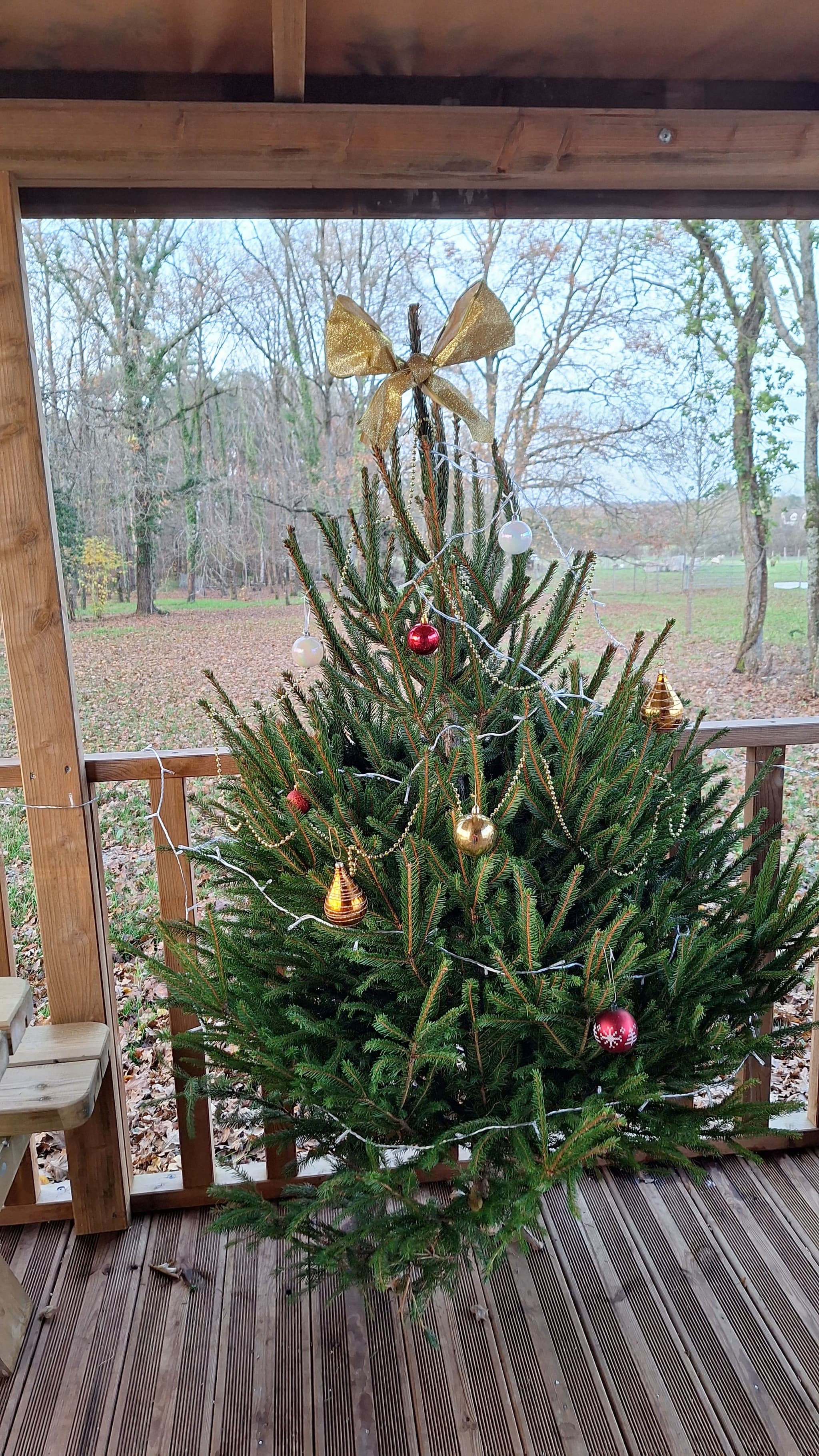 Sapin à noel