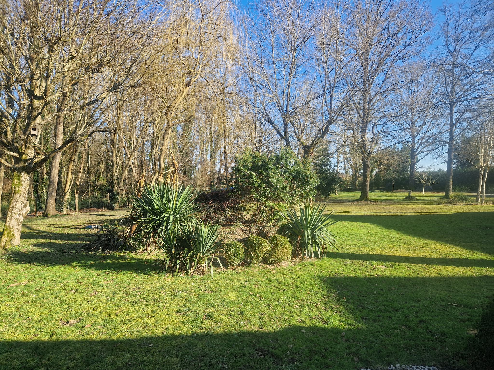 Le jardin