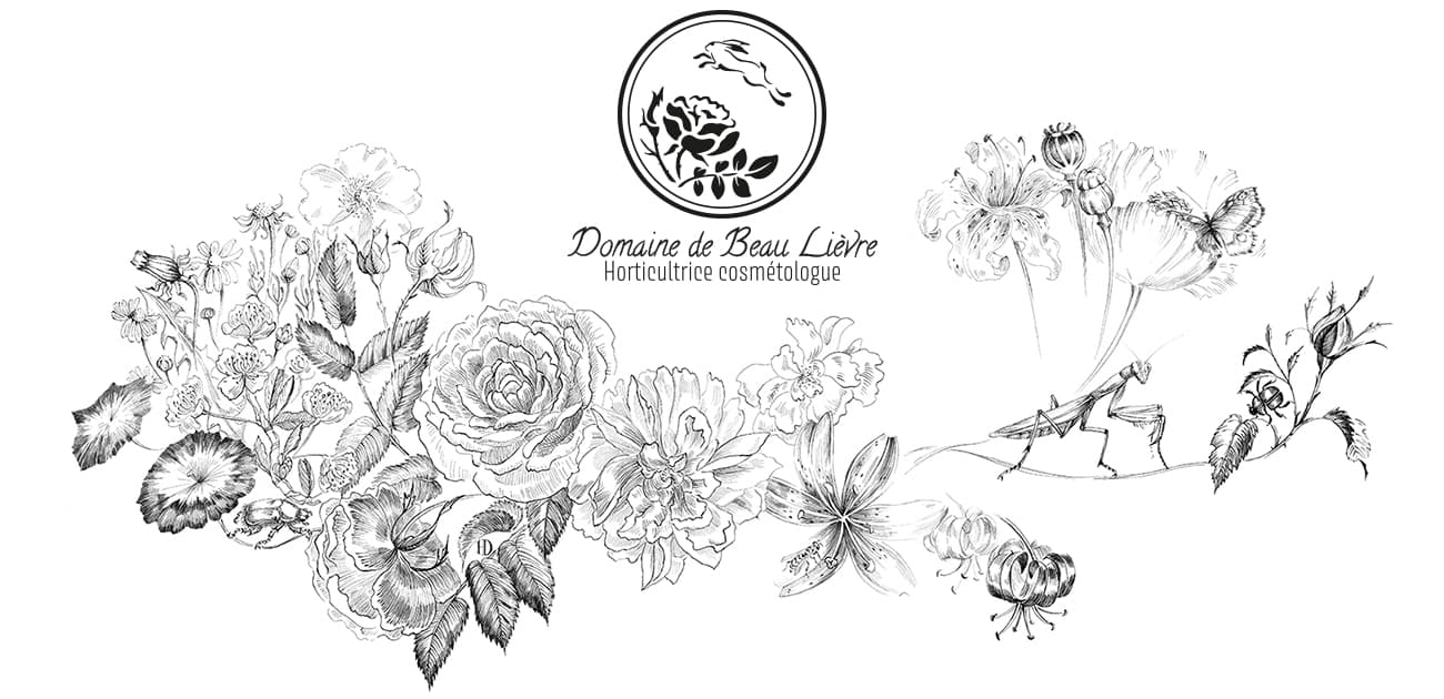 Autry le Châtel - Domaine du beau lièvre - Logo Domaine de Beau-Lièvre