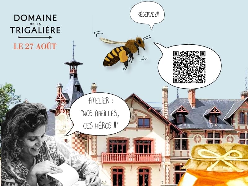 banniere atelier trigalière pour leur site (800 x600 px) - 9