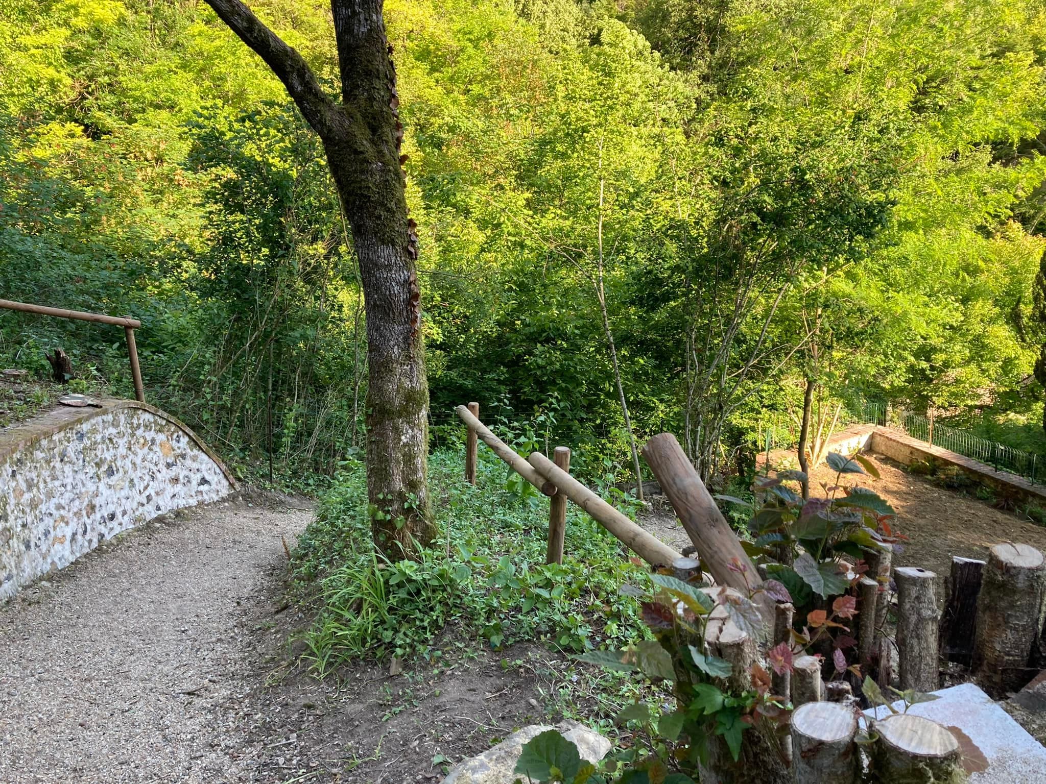 Allée menant à la maison