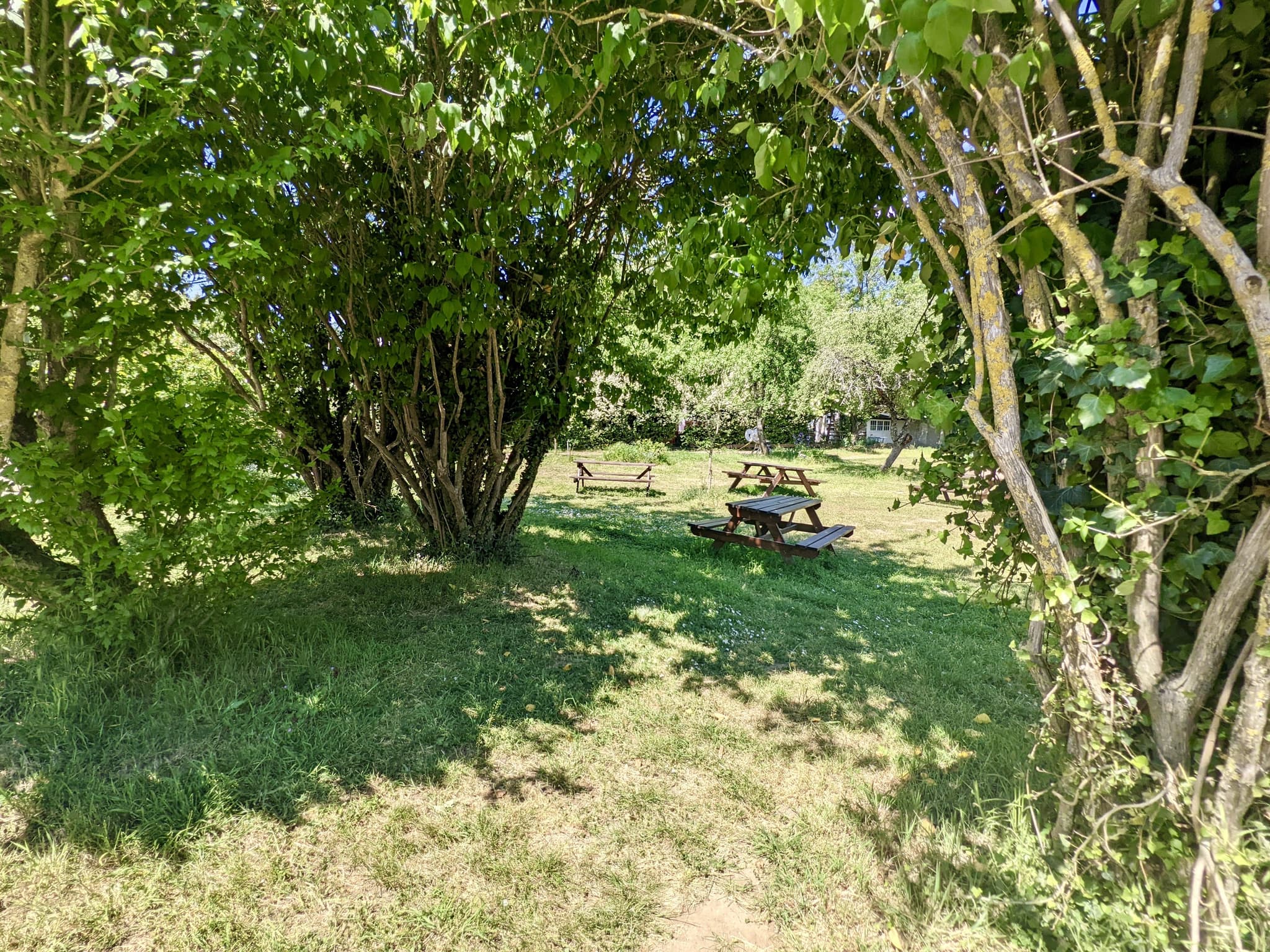 41A- jardin 1