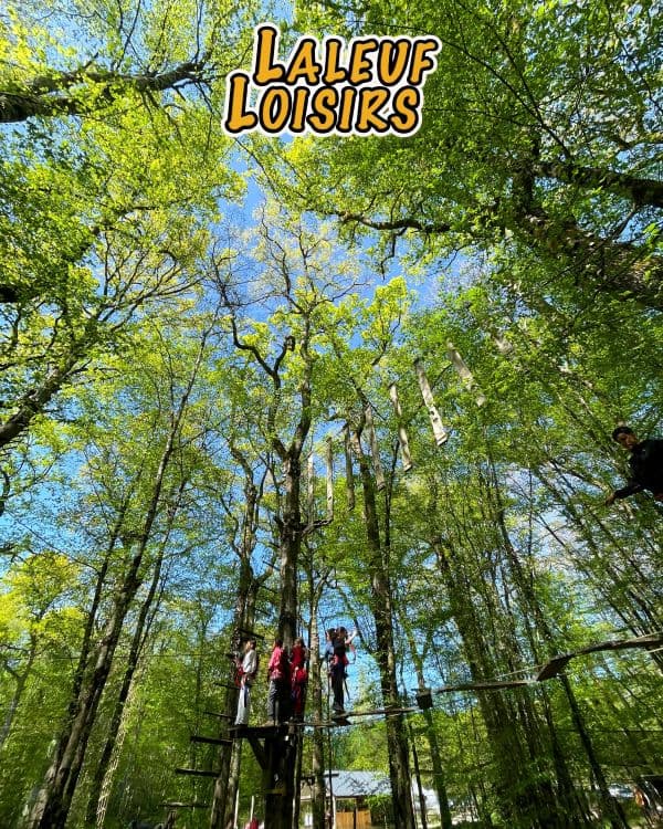 Parcours aventure dans les arbres à Laleuf Loisirs