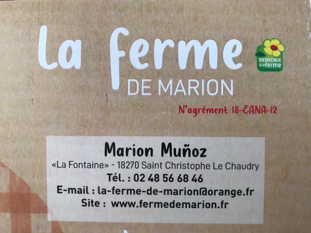 carte de visite Marion