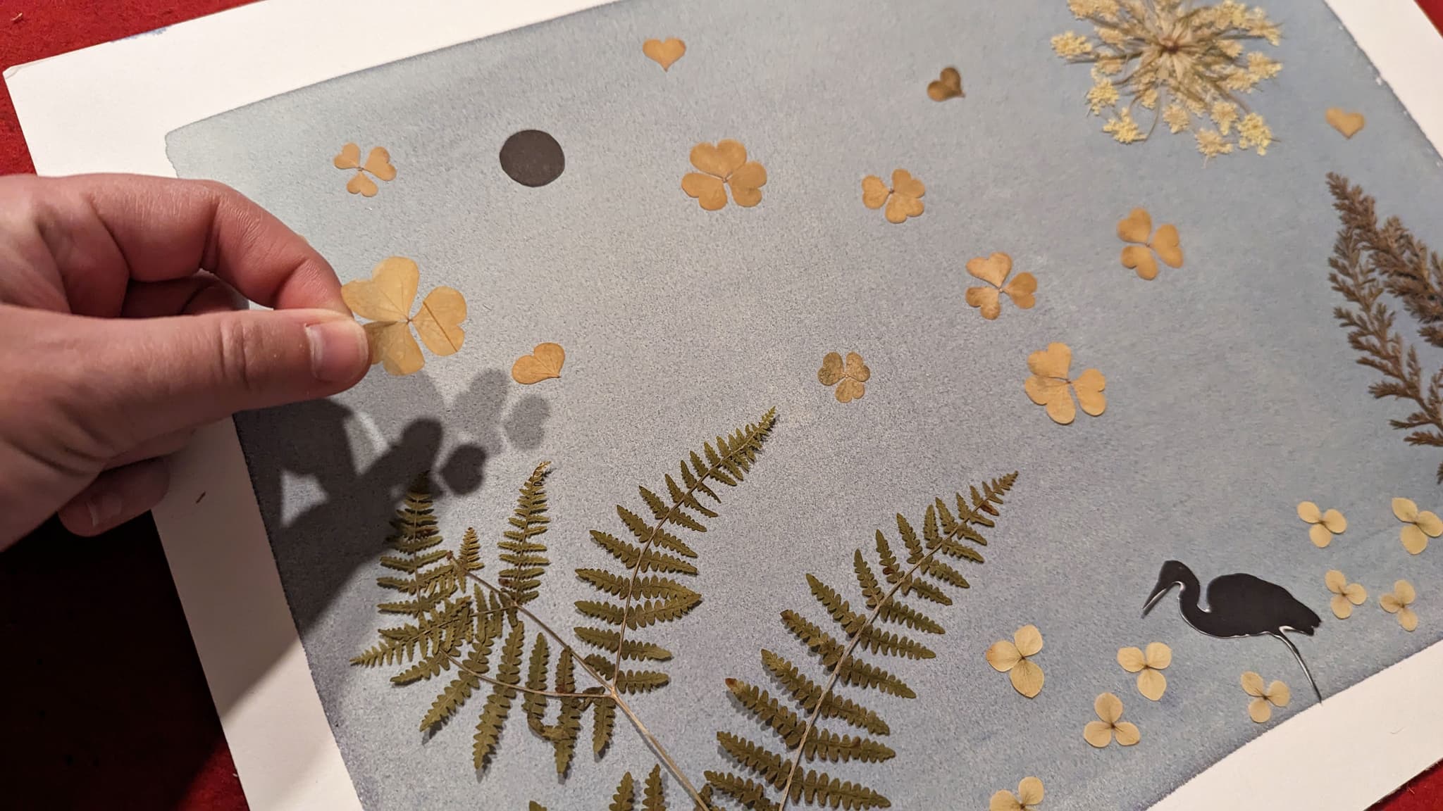 Initiation au cyanotype