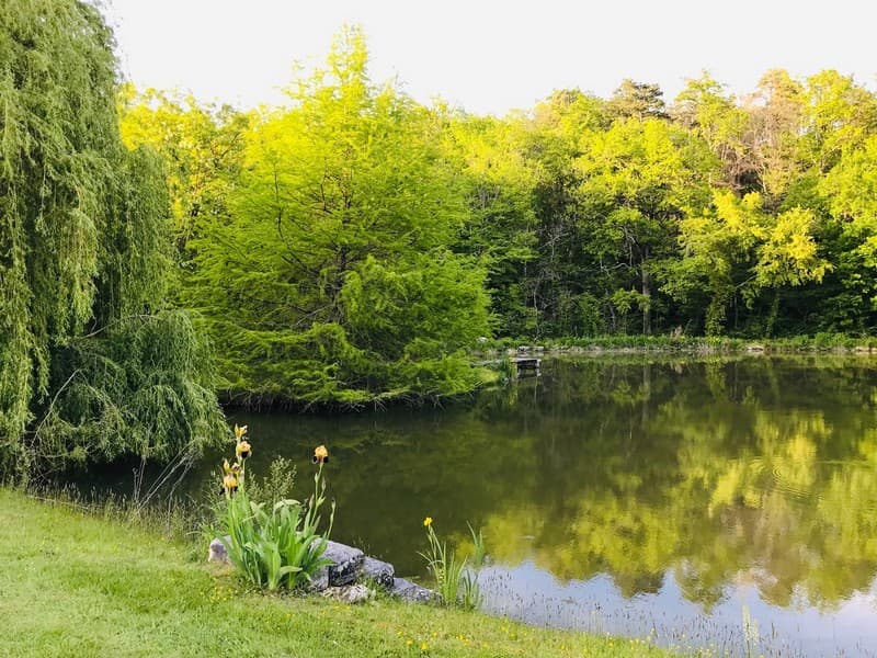 ACVL-Sainte-Maure-de-touraine--Au-grand-menasson--17-