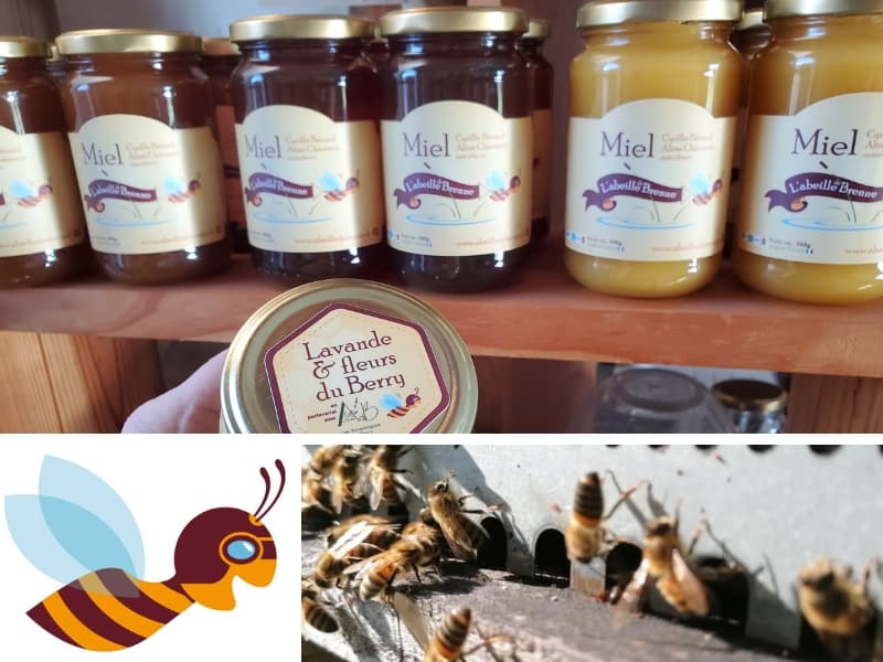 Abeille_de_Brenne_6