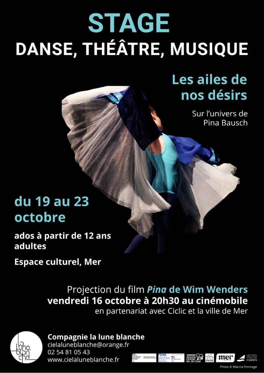 Affiche-stage