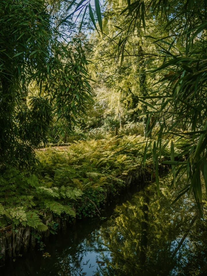 Arboretum d'Ilex