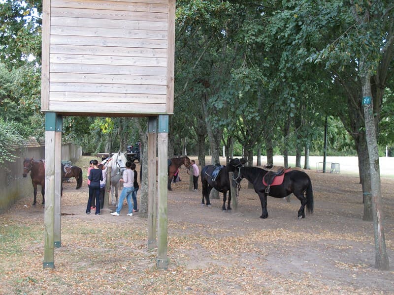 Attelages du Château 03