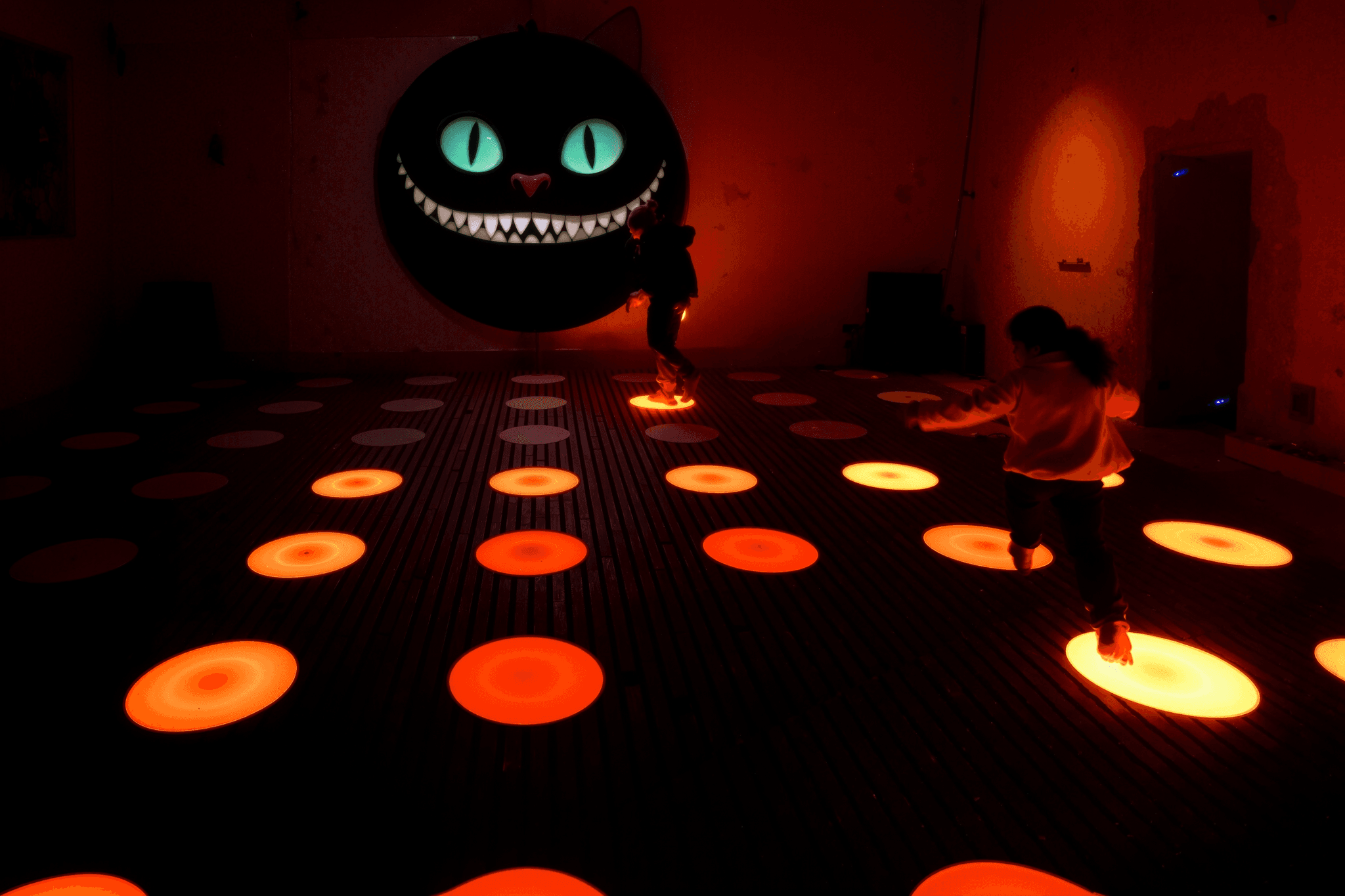 Bouncinng light et le chat
