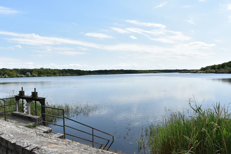 Breteau - étang de la Tuillerie - 1 août 2018 - OT Terres de Loire et Canaux - IRémy (43)
