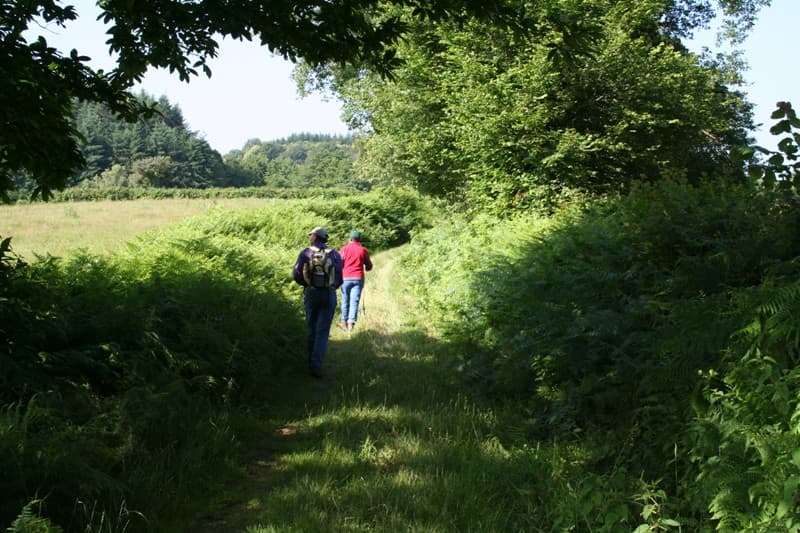Randonnée du Boischaut Sud - 2