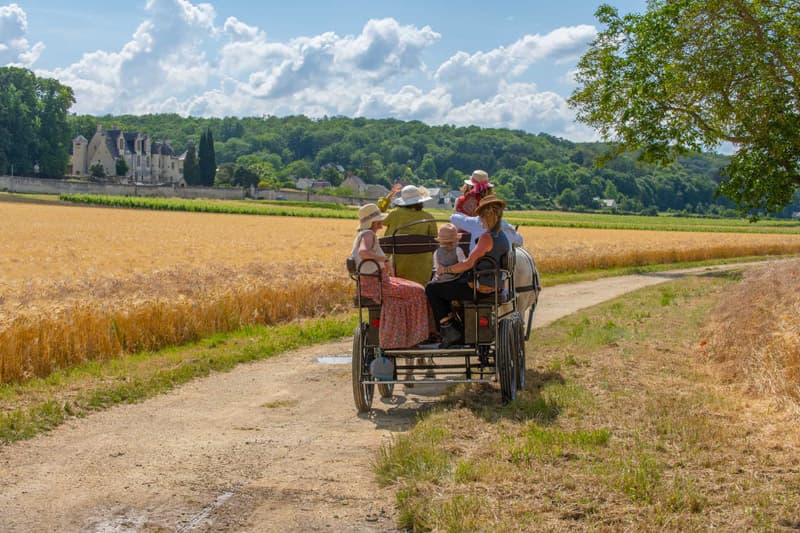 Calèche en Rabelaisie