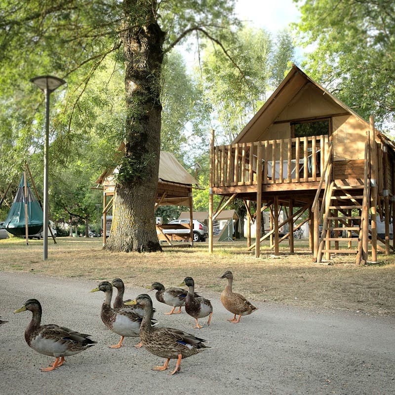 Camping Onlycamp Le Sabot - Azay-le-Rideau