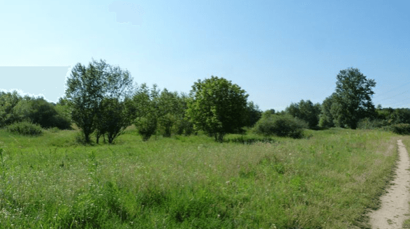 Dampierre-en-Burly