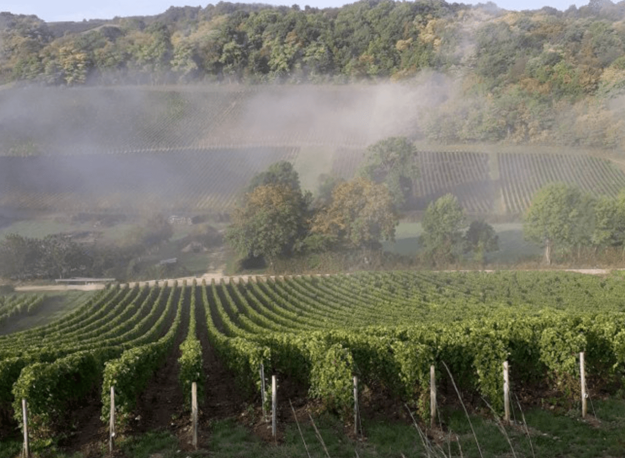 Domaine du Carrou