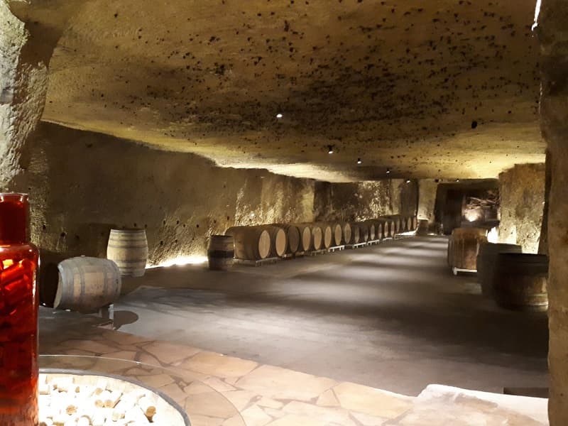 Cave Plouzeau - Chinon