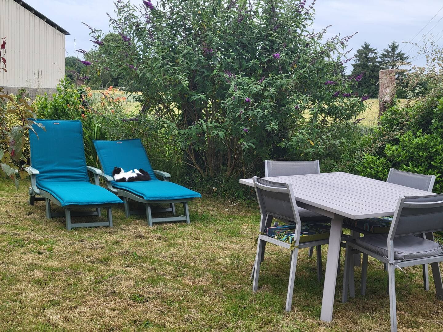 CdCTP-Vaupillon-PauseAuVert-Jardin-EE-