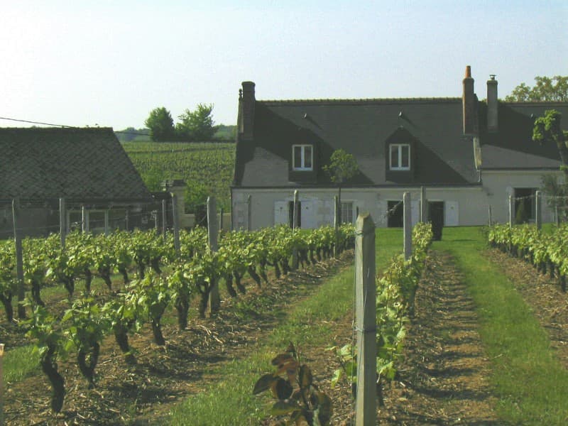 ChampalouVy