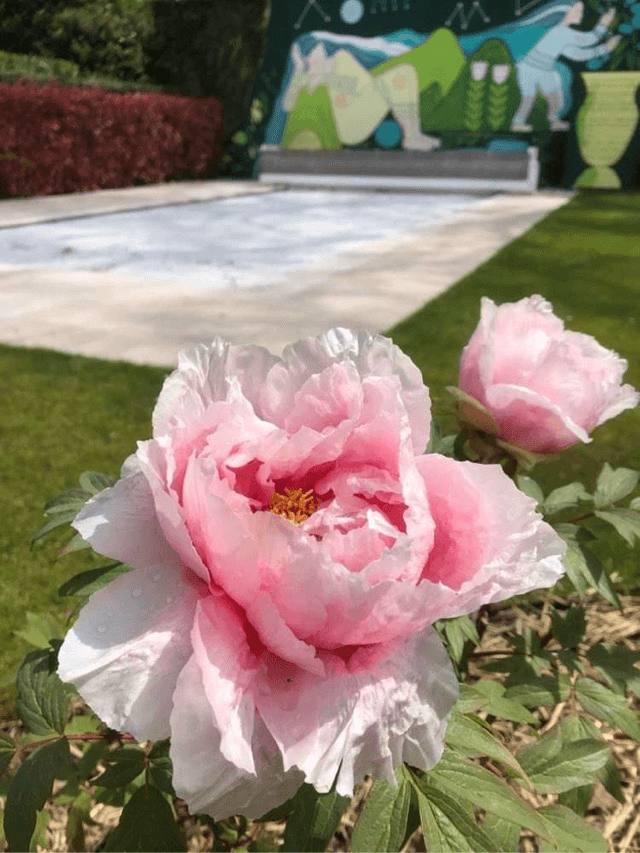Détail Piscine & Jardin