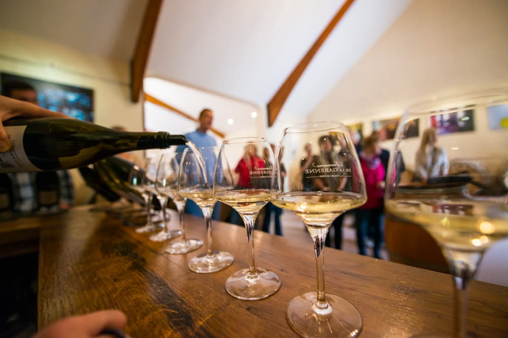 Domaine de la Garenne - Dégustation