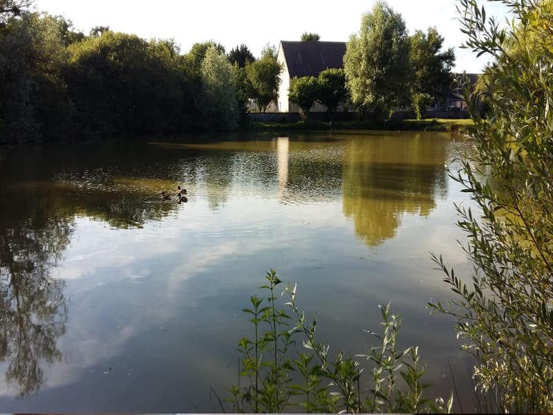 Dammarie-en-Puisaye---Petite-Metairie-pièce d'eau