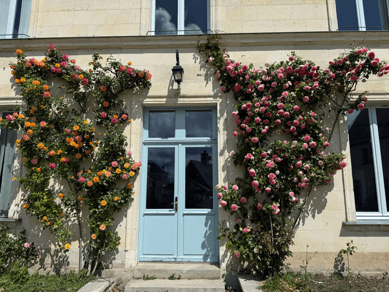 La Dixmeresse maison d'hôtes