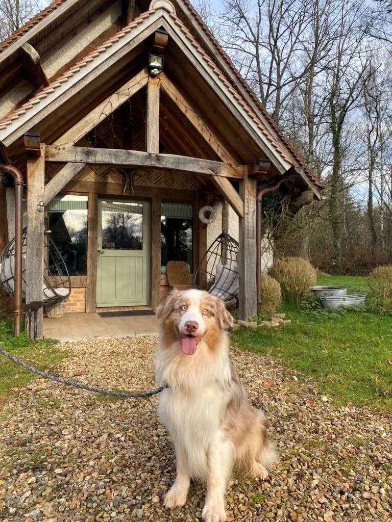 Doggy - Le Moulin de Presly - Presly
