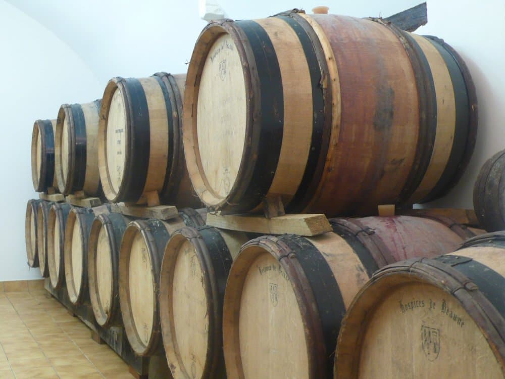 Domaine-Daniel-et-Simon-Chotard2