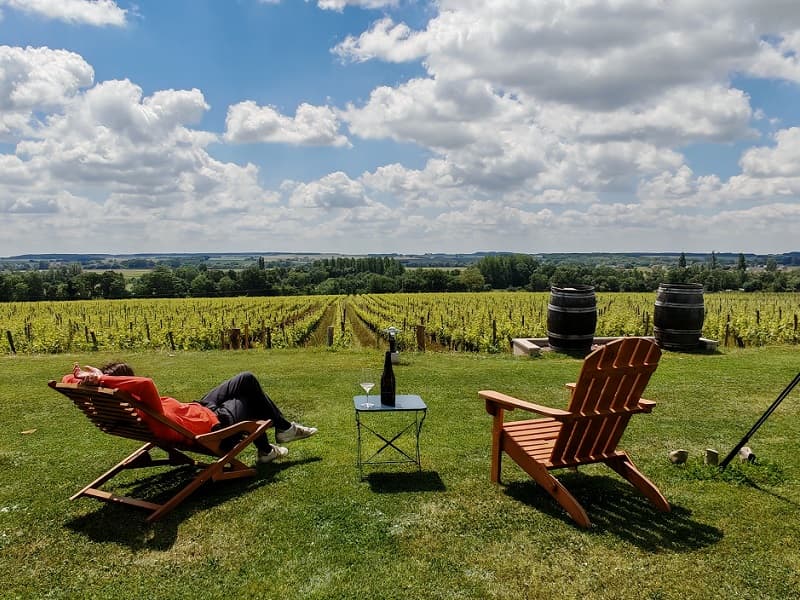 Domaine Grosbois - Panzoult