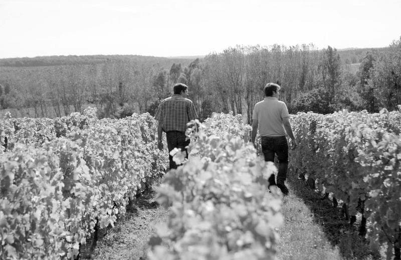 Domaine Mabillot